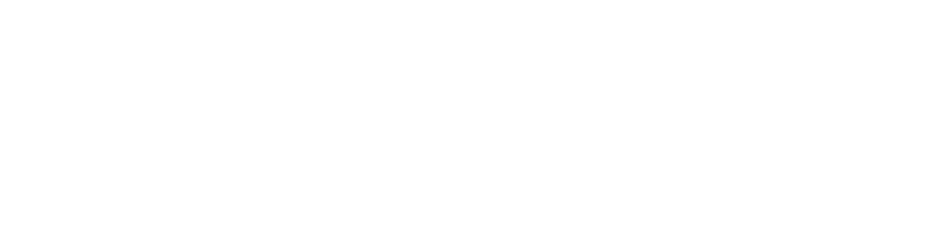 Logo-W3Cybersec-Rodape